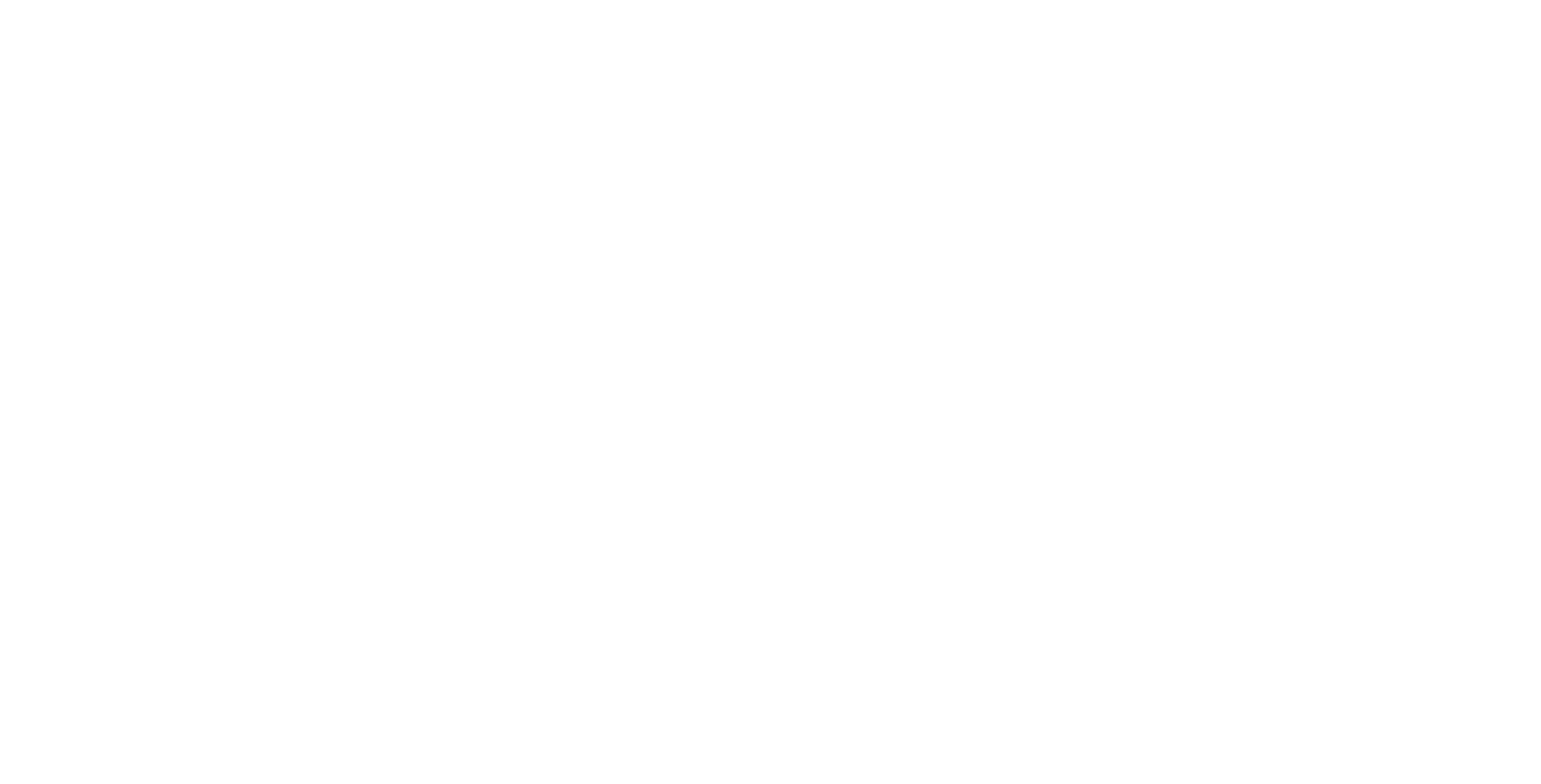 Nopsa Logo White - No circle