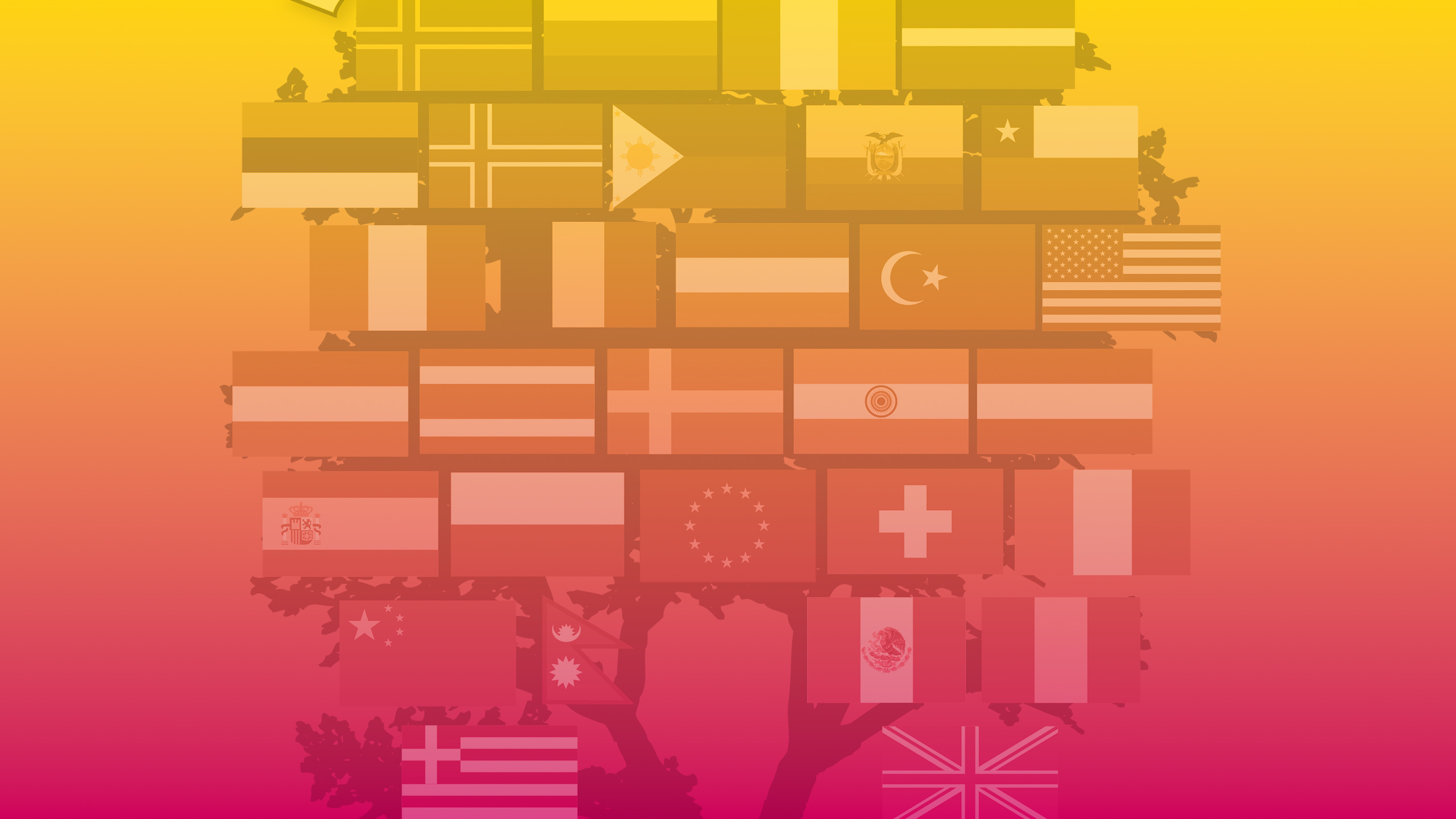 Fallback Image - Header